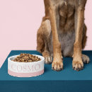 Pesquisar por gato Rosa