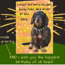 Pesquisar por dachshunds coloridos cartoes Para todos