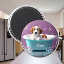 Pesquisar por banheiro imas Diversão