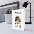 Pesquisar por shih tzu Cão