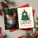 Pesquisar por gatos engraçados cartoes Foto
