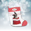 Pesquisar por terrier meias de natal Padrão
