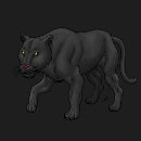 Pesquisar por pantera masculinas camisetas Gato