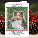 Pesquisar por o melhor pai no mundo cartoes Amante de cachorro