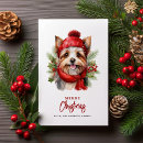 Pesquisar por yorkshire terrier cartoes Yorkie