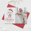 Pesquisar por engraçado natal cartoes Foto