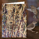 Pesquisar por pascoa cartoes Floresta