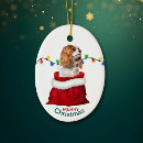 Pesquisar por cavalier ornamentos Animal
