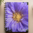 Pesquisar por flor do clematis roxo Elegante