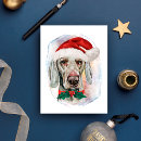 Pesquisar por weimaraner cartoes postais Animal de estimação