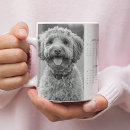 Pesquisar por canino canecas Para todos
