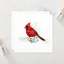 Pesquisar por pássaro cardinal vermelho Aquarela