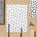 Pesquisar por gatos flyers Ranhura