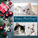 Pesquisar por animais natal cartoes Para pets