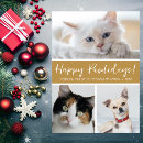 Pesquisar por animais engraçados natal cartoes Gato