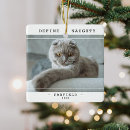 Pesquisar por gato feliz ornamentos Para todos