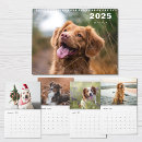Pesquisar por cachorros bonitos calendarios Cães
