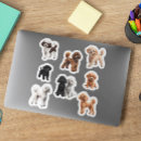 Pesquisar por miniature adesivos Poodle