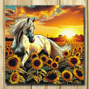 Pesquisar por girassol branco pôsteres pósteres Campo de flores