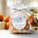 Pesquisar por trenó adesivos Chá de fraldas