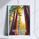 Pesquisar por sequoia pôsteres pósteres Califórnia