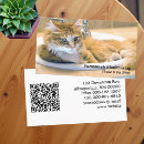 Pesquisar por gatos engraçados cartao de visita Para todos