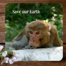 Pesquisar por do macaco copos porta copos Animal