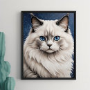 Pesquisar por ragdoll artes pósteres Gato de ragdolé