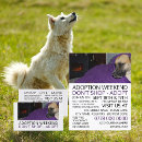 Pesquisar por dog cartao de visita Animais