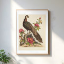 Pesquisar por pavão vintage pôsteres pósteres Floral
