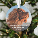 Pesquisar por animais estimação memoriais ornamentos Para pets
