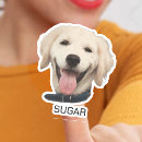 Pesquisar por pets o adesivos Cachorros