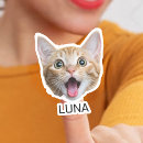 Pesquisar por pets o adesivos Para pets