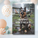 Pesquisar por cartões do german shepherd cartoes Qualquer pessoa