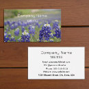 Pesquisar por bluebonnet cartao de visita Texas