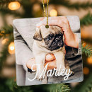 Pesquisar por feliz animais estimação acessórios Para todos