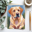 Pesquisar por labrador retriever amarelo cartoes postais Cachorro