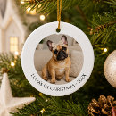 Pesquisar por natal francês ornamentos Para pets