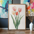 Pesquisar por tulipas pastel pôsteres pósteres Para todos