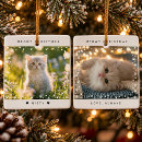 Pesquisar por gatos ornamentos Para todos