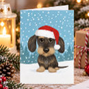 Pesquisar por teckel cartoes Dachshund