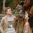 Pesquisar por koalas camisetas Ursinho koala