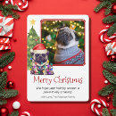 Pesquisar por pug bonito cartoes Qualquer pessoa