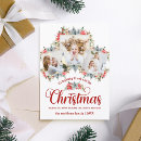 Pesquisar por musica cartoes Para eles