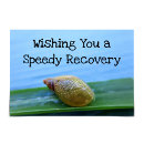 Pesquisar por a ironia cartoes Engraçado