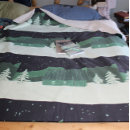 Pesquisar por do da constelação mantas Constelações