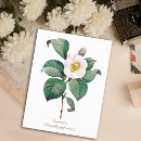 Pesquisar por golden era cartoes Floral