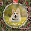 Pesquisar por animais estimação memoriais ornamentos Crie o seu