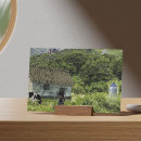 Pesquisar por pintura medieval cartoes postais Castelo