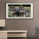 Pesquisar por frame pôsteres pósteres Qualquer pessoa